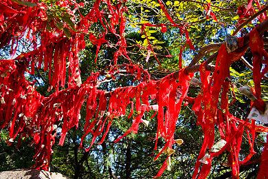 《博德之门3》没有日语被日本玩家抱怨：游戏体验艰难